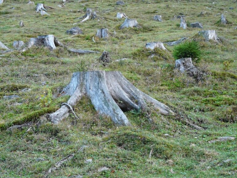 Abuso de la naturaleza, causa de emergencias sanitarias: José Sarukhán