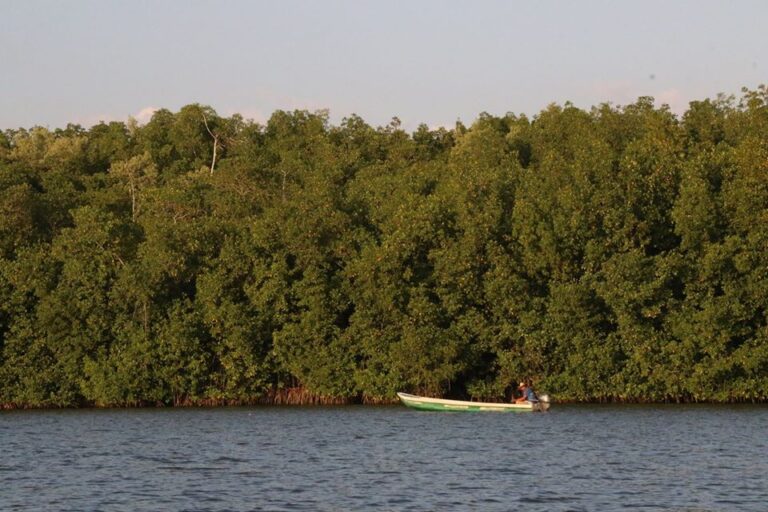 Ajuste al presupuesto pone en vilo a la protección de Áreas Naturales Protegidas en México