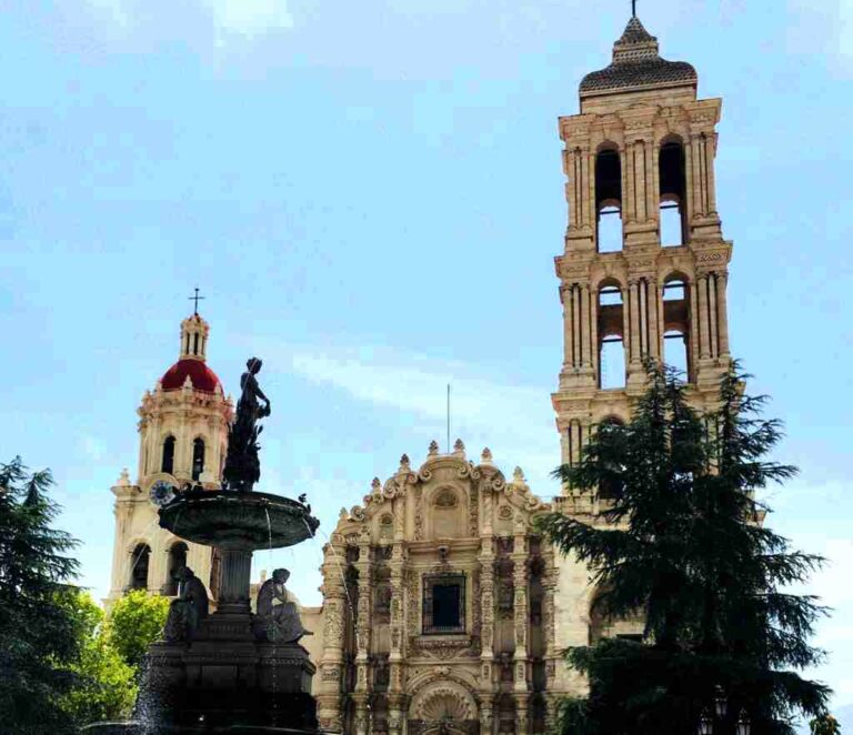 Aún no abrirá Diócesis templos en Saltillo