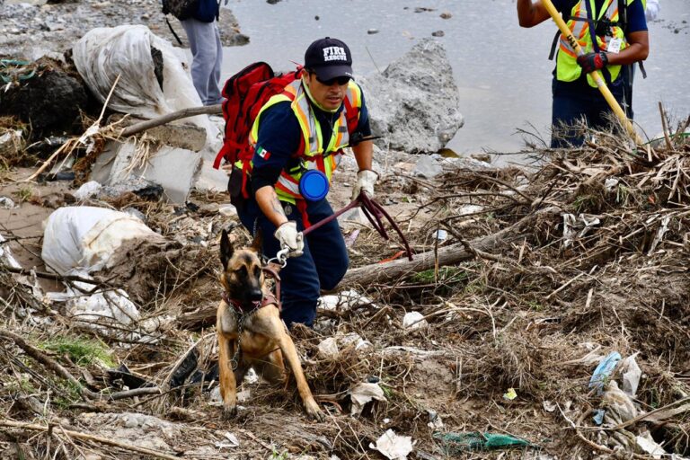 Más de 200 personas la buscan por tierra y aire