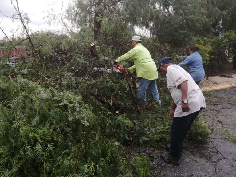 Atiende Municipio reportes por lluvias en la ciudad