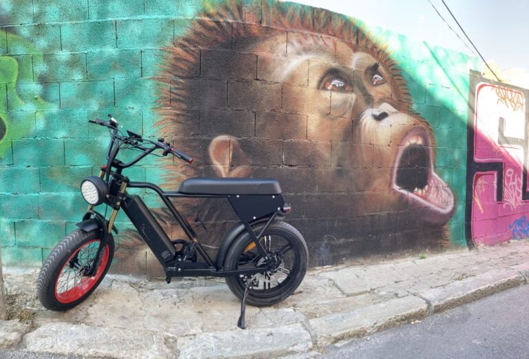 Bicicletas eléctricas: ¡reduce la contaminación mientras cuidas tu bolsillo!