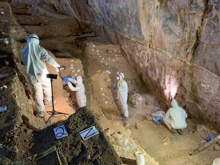 Descubren en Concha del Oro pruebas de que humanos habrían llegado a América mucho antes de lo que se creía