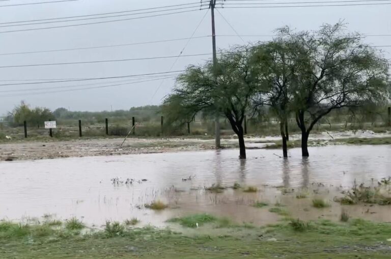 Hanna deja cosas buenas: lluvias mitigan sequía en campo saltillense