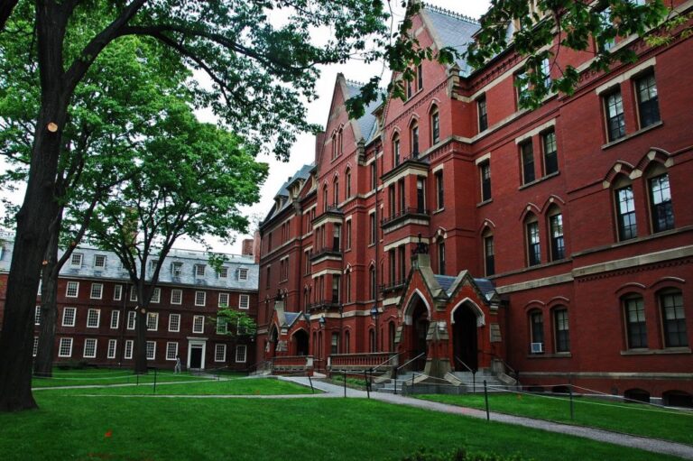 Harvard y MIT demandan a Gobierno de Estados Unidos por norma sobre estudiantes internacionales