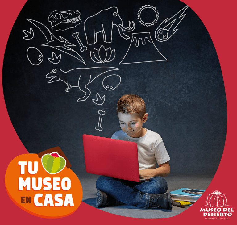 Realizará MUDE curso de verano “Tu Museo en Casa”