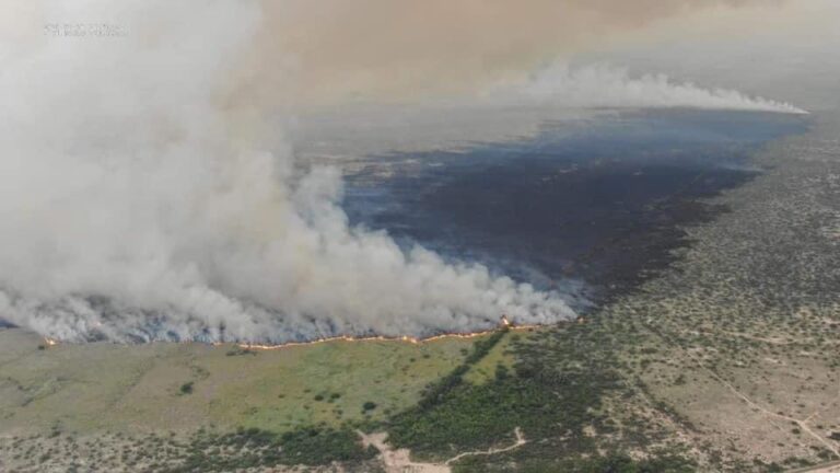 Controlado en un 85% incendio en Cuatro Ciénegas