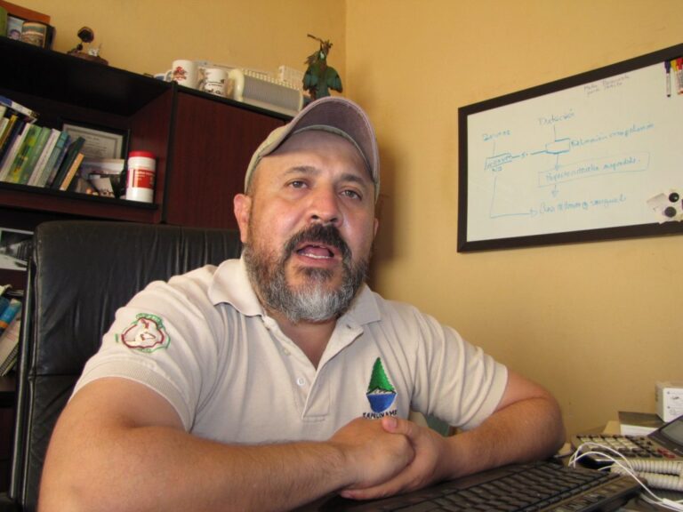 Iniciará PROFAUNA campaña de cambio de latas por plantas suculentas