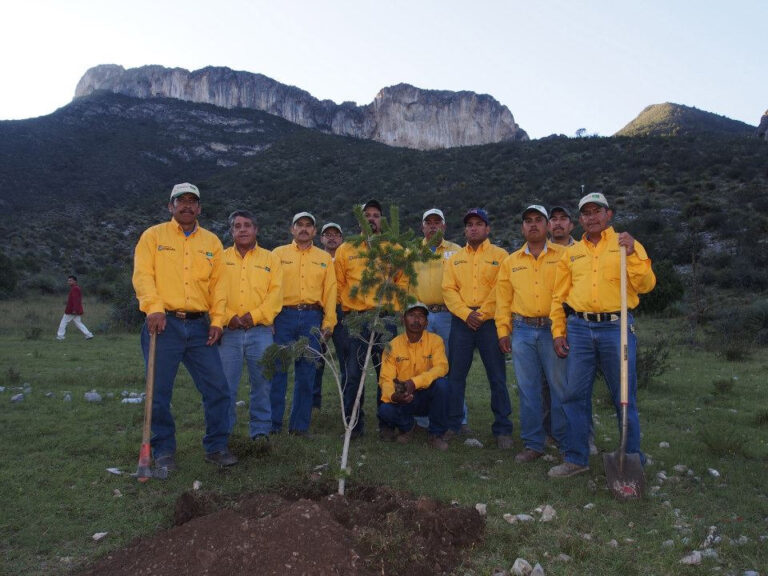 Preparan reforestación de área siniestrada en Sierra del Burro