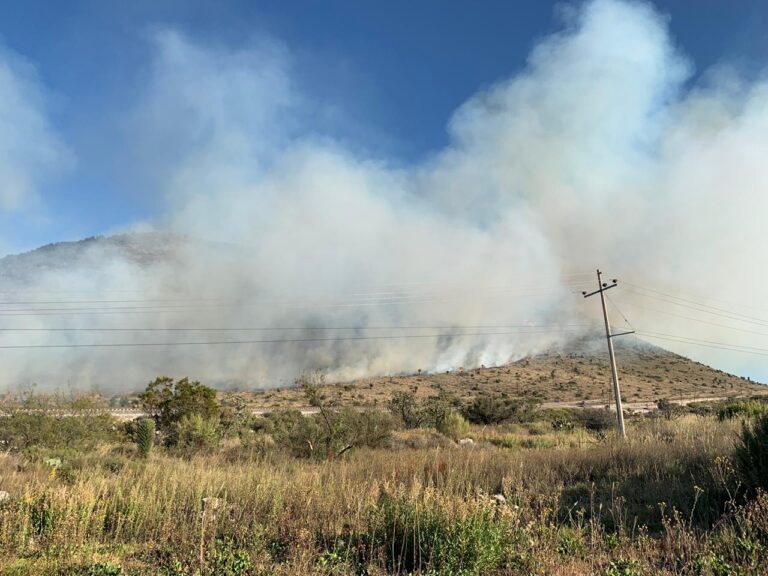 Incendio forestal en Carneros ha consumido hasta el momento cinco hectáreas