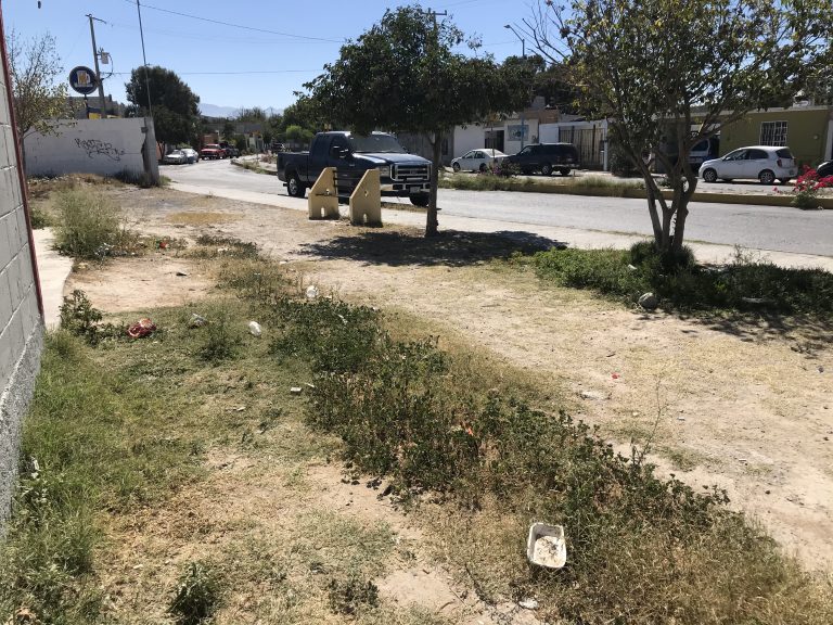 Plaza pública en colonia El Cura necesita mantenimiento; vecino pide apoyo municipal 