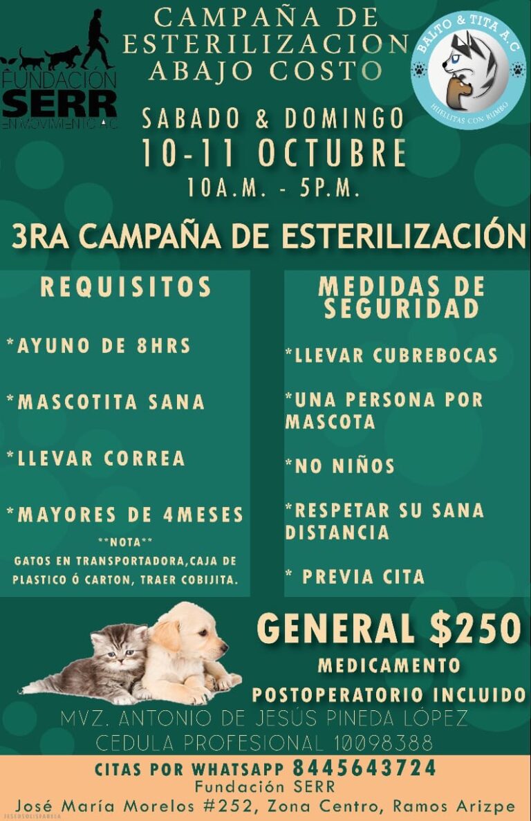 Fundación SERR invita a su campaña de esterilización de mascotas a bajo costo    