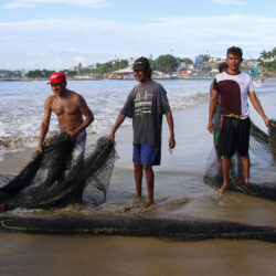 MEXICO-GUERRERO-PESCA-SERIE
