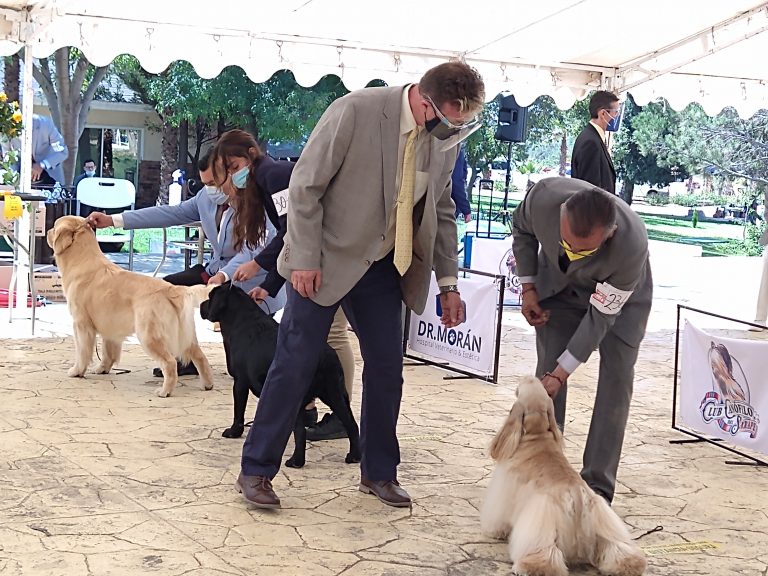 Todo un éxito la exposición canina del Club Canófilo del Sarape AC