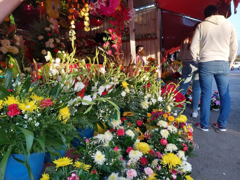 Registraron floristas pérdidas de hasta un 70% por cierre de panteones