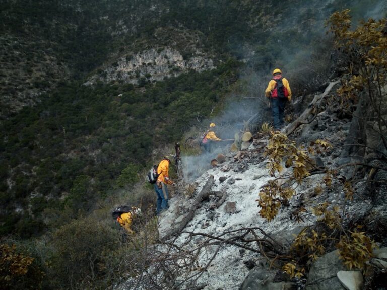 Continúan las acciones preventivas de Coahuila contra incendios forestales