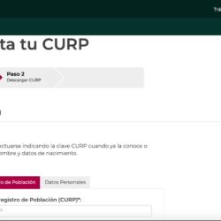 Como Imprimir mi CURP 02