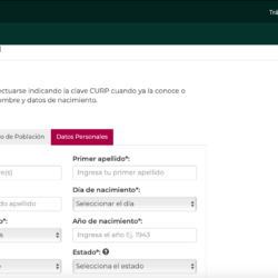 Como Imprimir mi CURP 05