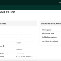 Como Imprimir mi CURP 07