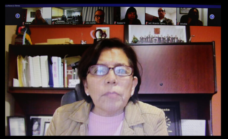 Realiza Luz y Esperanza foro virtual “Protección para las hijas e hijos de mujeres víctimas de violencia de género”