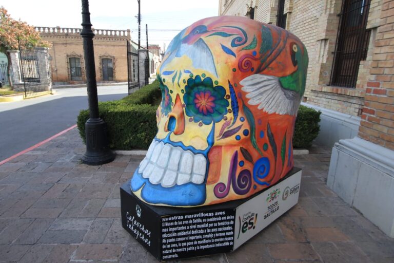 Llegan las «Calaveras Saraperas» al Museo de las Aves