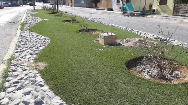 Presenta avances de construcción Línea Verde en Ramos Arizpe 