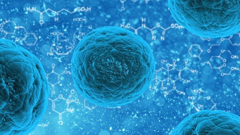 Resistencia antimicrobiana impacta salud humana, de animales y medio ambiente