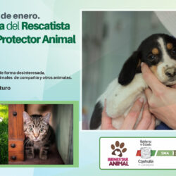 001_COAHUILA_CONMEMORA_ESTE_17_DE_ENERO_EL_DI´A_DEL_RESCATISTA_Y_PROTECTOR_ANIMAL