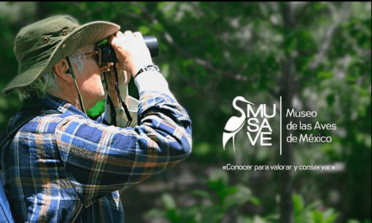 Recomienda MUSAVE la observación de aves para evitar estrés y depresión
