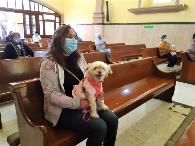 Acuden saltillenses con sus mascotas a misa en honor a San Antonio Abad