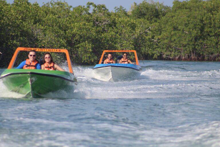 4 actividades obligatorias e inolvidables en Cancún