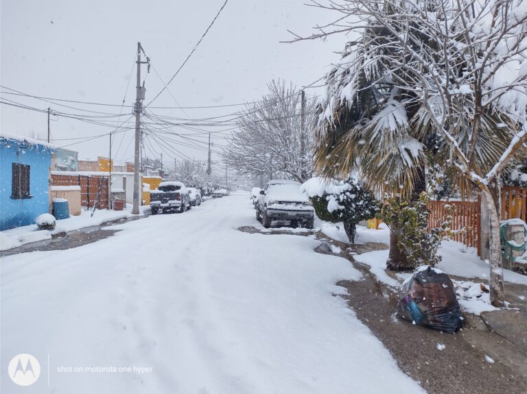 Nuevamente el norte se pinta de blanco por tormenta invernal