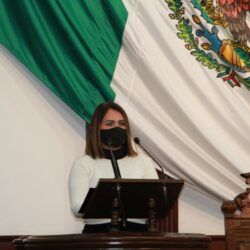 Dip. Mayra Lucila Valdés González