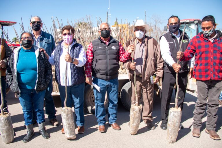 Entregan 8 mil nogales a productores de Madero y San Pedro de las Colonias