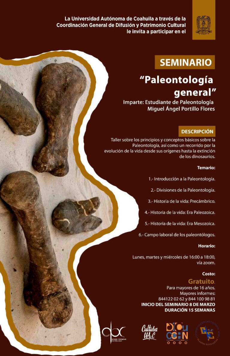 Aprende con el seminario “Paleontología General” 