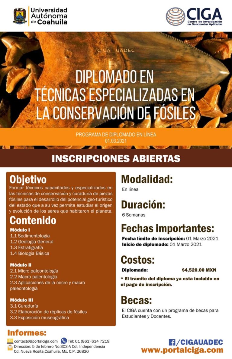 Invita el CIGA de la UA de C al diplomado en Técnicas Especializadas en la Conservación de Fósiles 