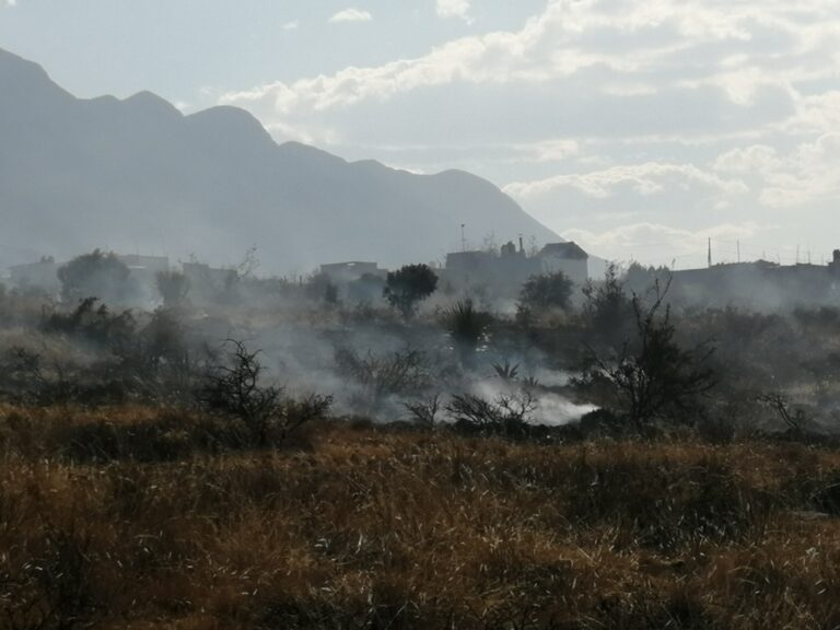 Se incendia nuevamente la Sierra de Zapalinamé