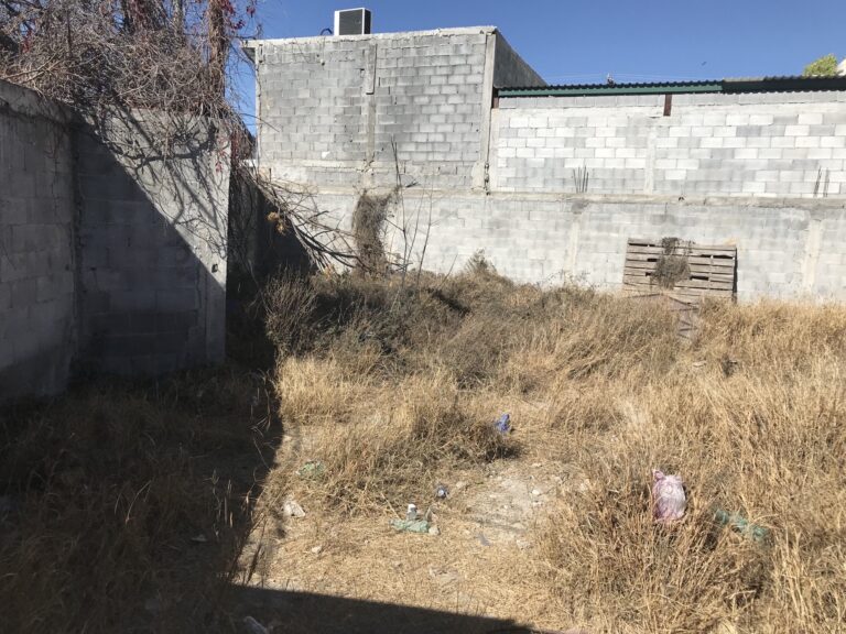 Vecina en Manantiales Del Valle denuncia fauna nociva y malos olores por basura en terreno baldío