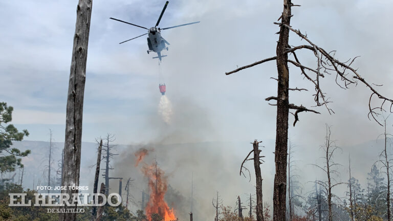 Incendio en la sierra de Zapalinamé controlado al 95%; continúa el combate en ‘La Pinalosa’