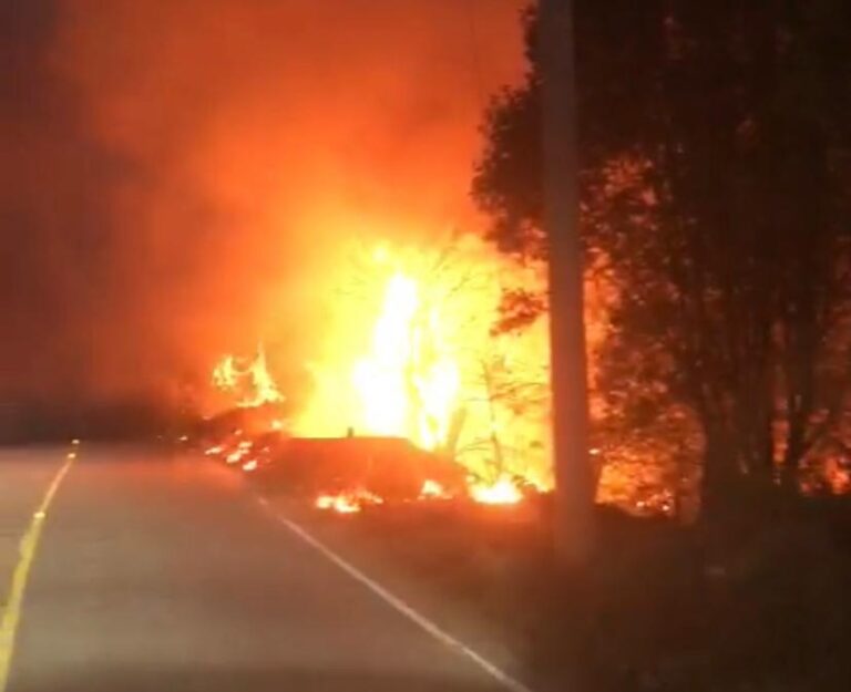 Incendio de La Pinalosa en Arteaga se sale de control nuevamente