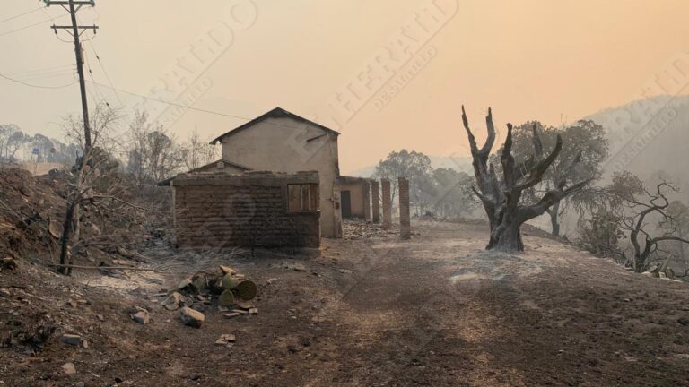 El clima dificulta combatir al incendio en la Sierra de Arteaga