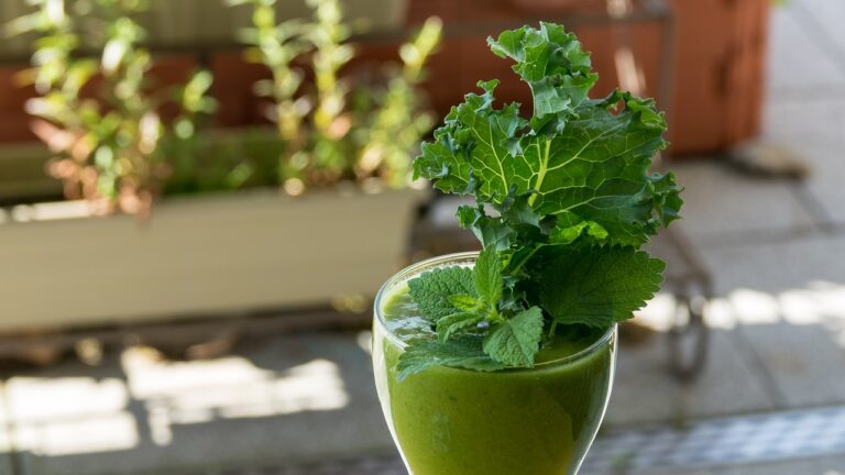 Jugo verde con jengibre: lo MEJOR para bajar de peso y reforzar tu sistema inmunológico; así puedes prepararlo