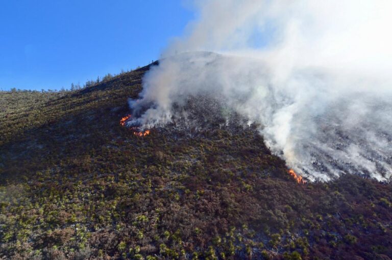 Reanuda Coahuila combate al incendio en ‘La Pinalosa’; sierra de Zapalinamé en vigilancia