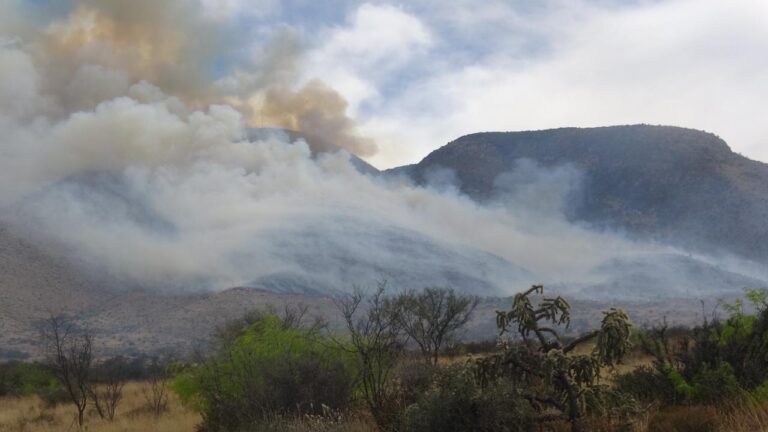 Se incendia la Sierra de Zapalinamé; combaten 200 brigadistas y un helicóptero   