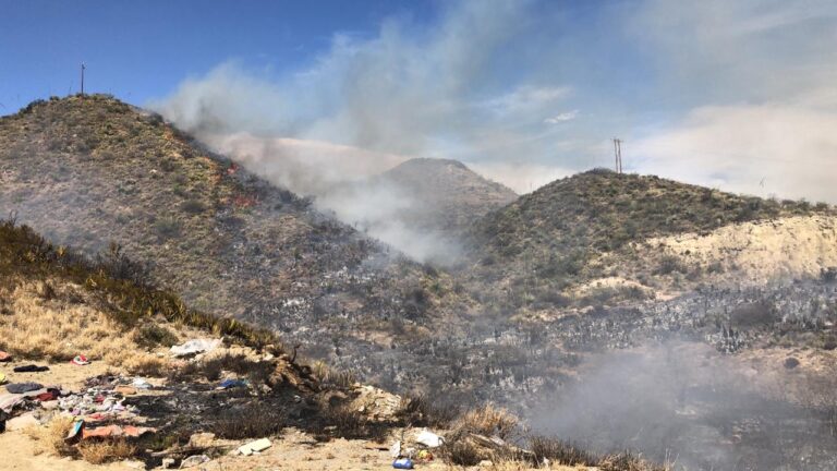 Otro incendio forestal, ahora en la presa Palo Blanco