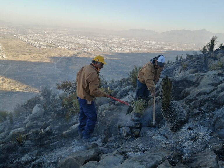 Registra un 45% de control incendio en Arteaga; el de Zapalinamé, un 70% de avance