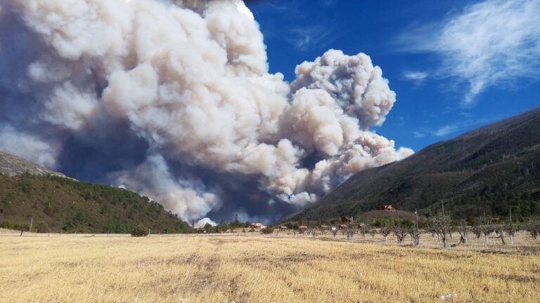 Se registra enorme incendio en la Sierra de Arteaga