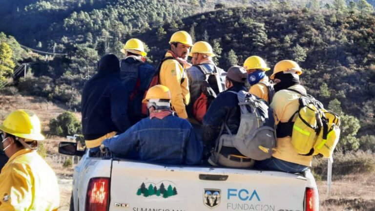 Viento sigue dificultando labor de brigadistas en incendio forestal en Arteaga