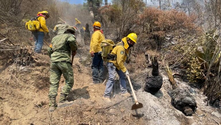 Controla Coahuila al 100% incendio en la Sierra de Arteaga; felicita MARS a brigadistas