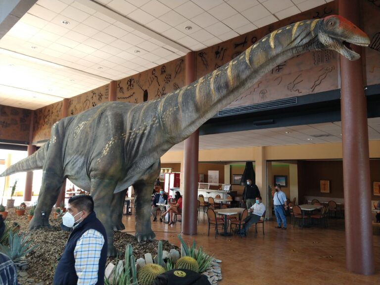 Cerrará MUDE período vacacional con más de 20 mil visitantes